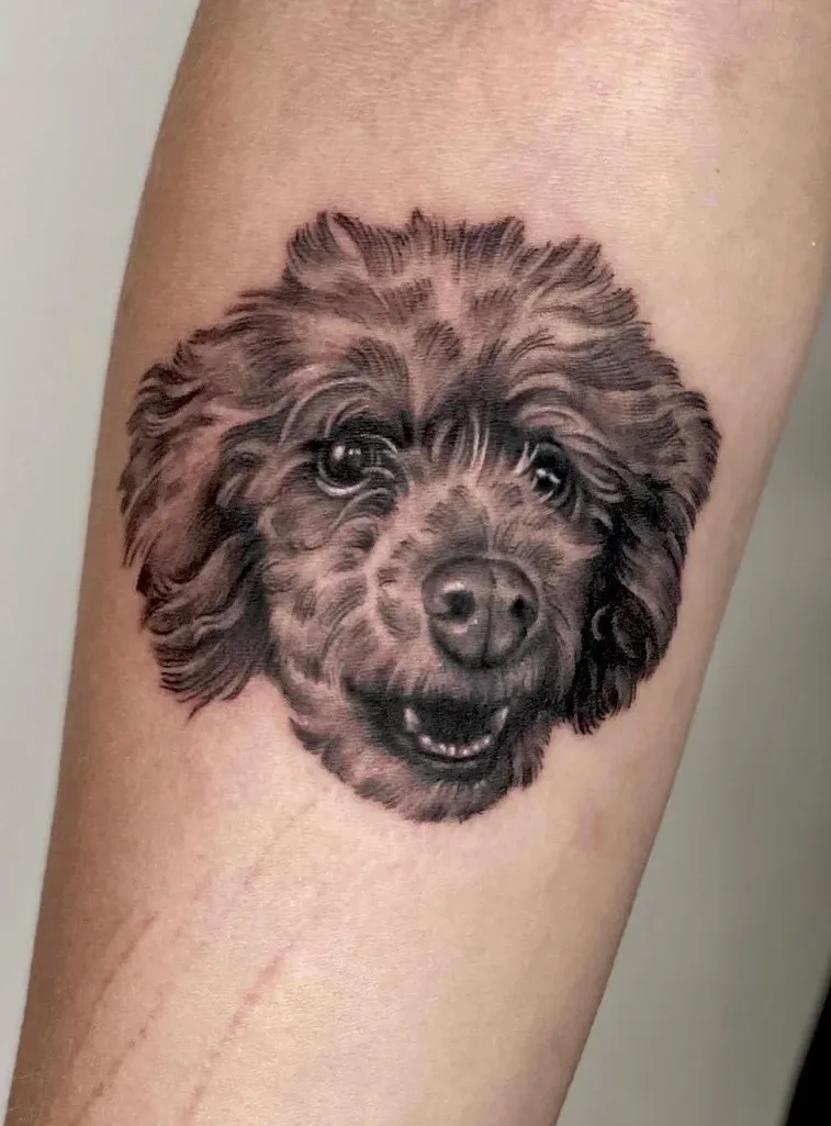 Portret zwierzęcia